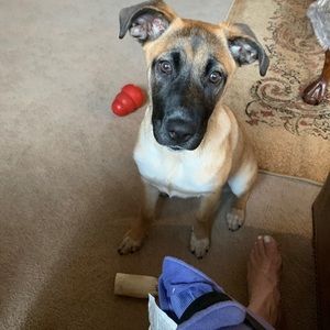 Meet your Posher, Lisa